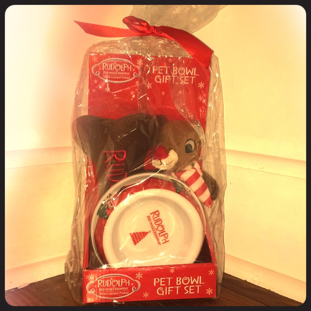 Rudolph pet bowl gift set